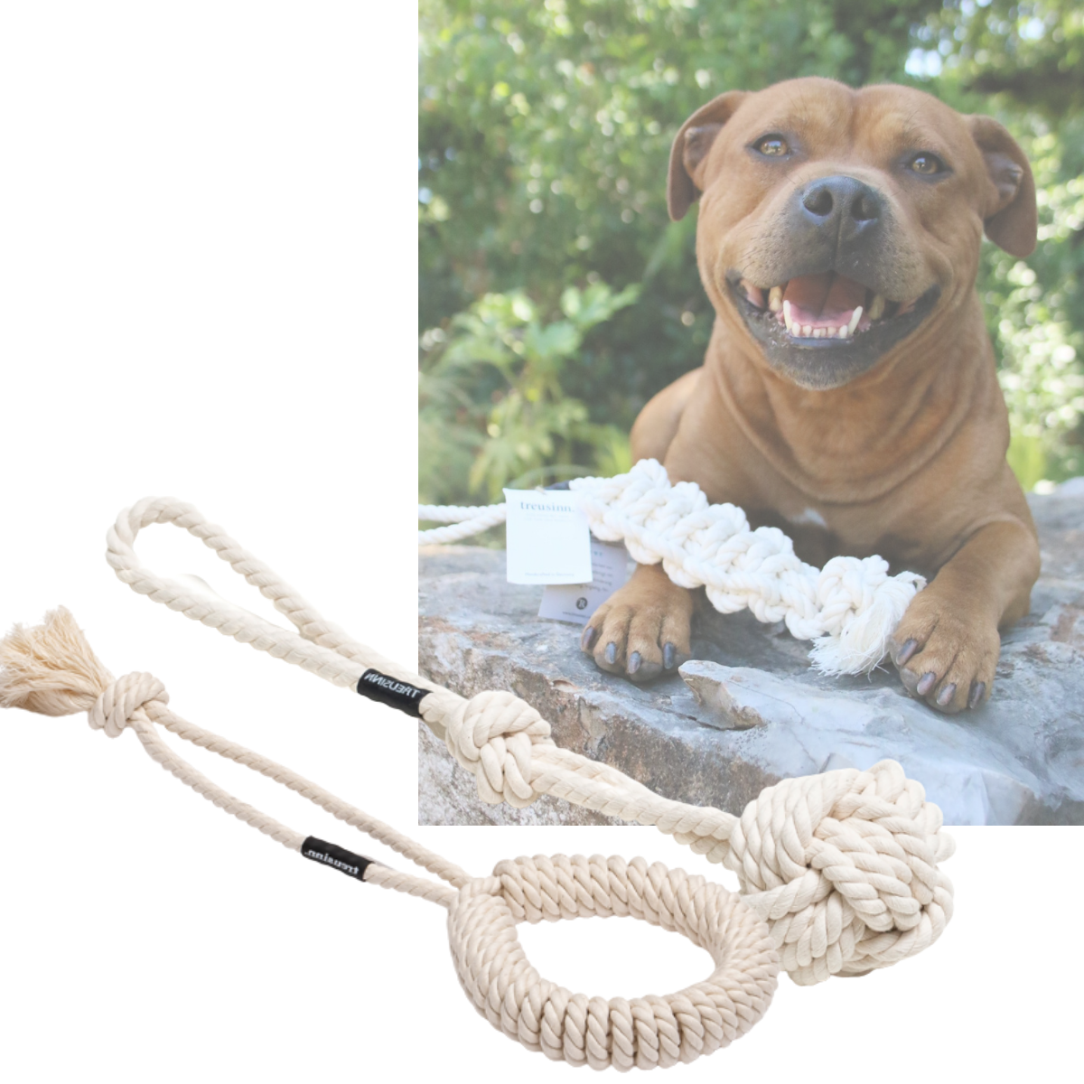 jouet écologique pour chien, treusinn corde pour chien